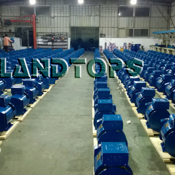 LANDTOP 220V ST Single Phase Generator Price