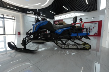 touring snowmobile for sale