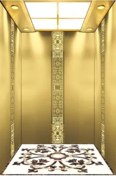 Mrl Home Lift Luxurious Passenger Elevators