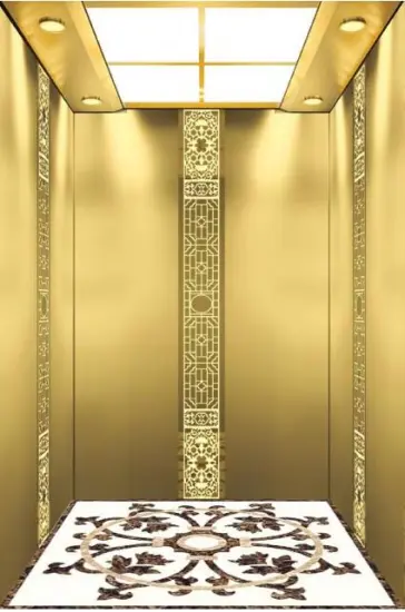 Mrl Home Lift Luxurious Passenger Elevators