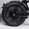 SK-1 Black Warrior Electric Motocross Bike