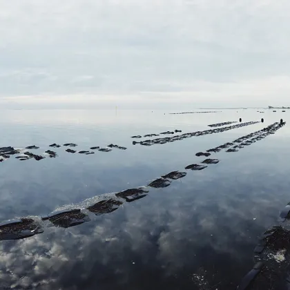 HDPE Plastic Shellfish Cage