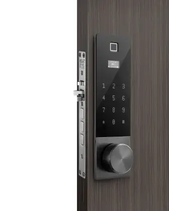 Electronic Smart Password Door Lock