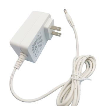Adattatore a parete 12V 2A DC Switching Alimentatore