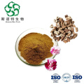 High-Quality Antioxidant Paeonia Suffruticosa Bark Extract for Wellness