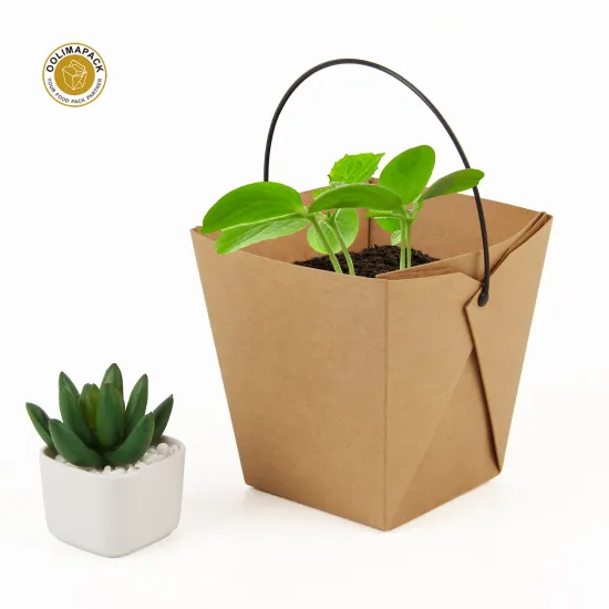 Customized Logo Flower Gift Bag Packaging: Waterproof Options for Plant Potted Bouquets and Paper Bags