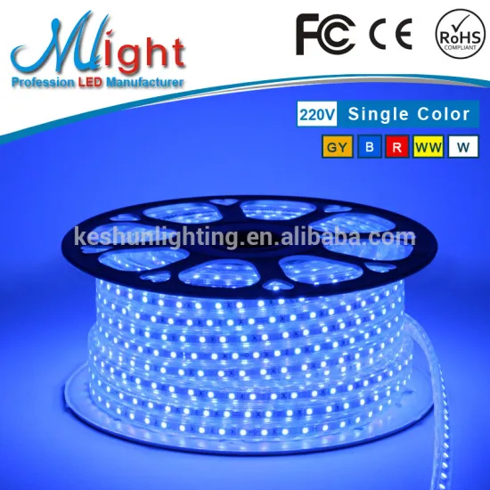 110V/220V Flexible LED Strip Lights 5050 Blue dining room decorative lighTS