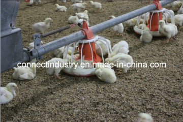 Automatic Chicken Farm Equipment