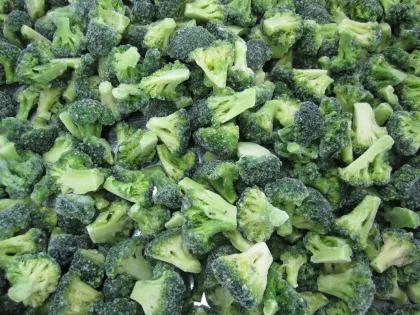 Chopped Iqf Fresh Frozen Foods , New Crop Healthy Chinese Frozen Broccoli