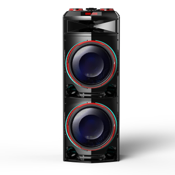 Temeisheng New Huge Speakers with Multiple Connectivity Options