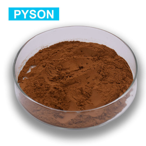 Pyson Supply Coleus Forskohlii Extract สำหรับการสูญเสียไขมัน