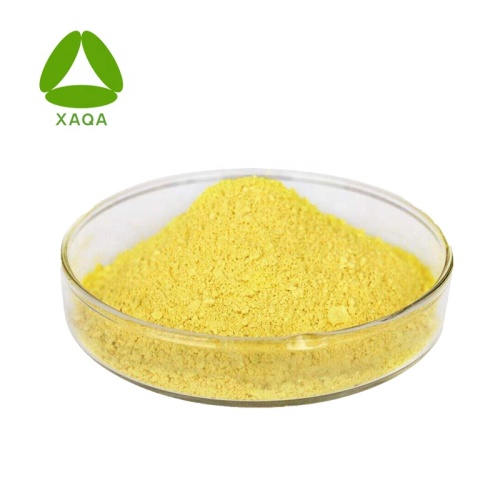 Vasodilator Protection Ingredients Sophora Japonica Extract Quercetin Powder 95% HPLC Manufactory