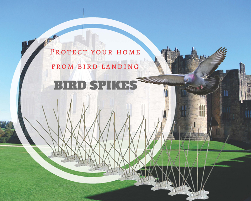 effective bird spikes effective bird spikes