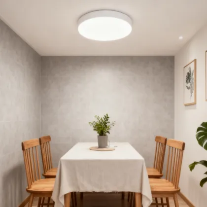 Ceiling lighting for living areas