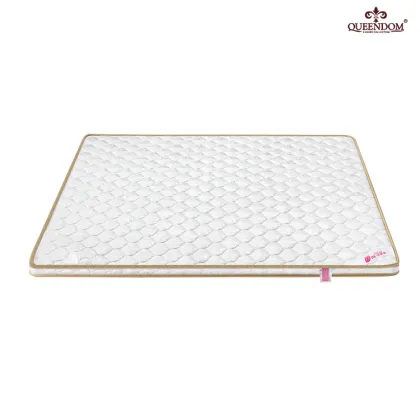 Coir Coconut Fiber Sleepwell King Mattress Bedroom Furniture