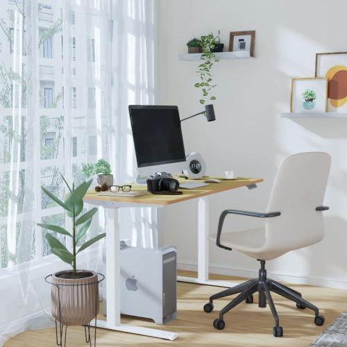 Adjustable Sit Stand Standing Desk