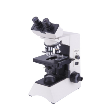 1600x microscopio biologico binoculare con ottica Olympus a buoni prezzi