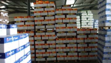 70 , 75 ,80g office printing copy paper