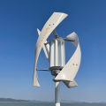 Generatore della turbina del vento verticale certificato CE1000W 24V 48V