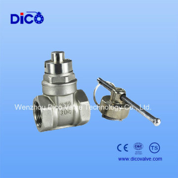 Stainless Steel Screw End Magnet Lock Gate Valve