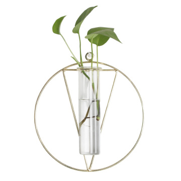 Hot sale water planting for home