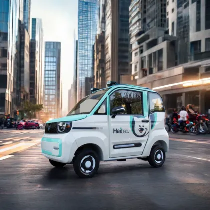 Haibao Cao Mei New Energy Electric Motorcycles and Scooters: Customizable Options with Lithium Batteries