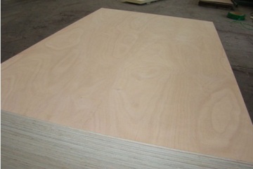 The Construction Board Material MDF Wd150176