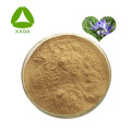 China Natural Rosemary Extract Rosmarinic Acid 98% Powder Manufactory