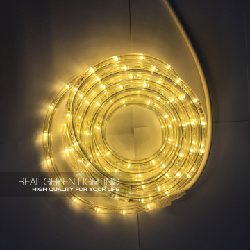 UL 2-wire Uncuttable 120V LED Rope Light