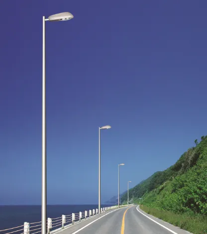 8m 10m 12m hot dip galvanized pole with light fixture