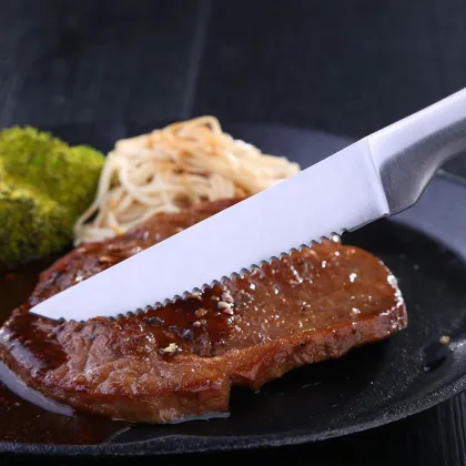 Stainless steel classic kitchen knife steak knife