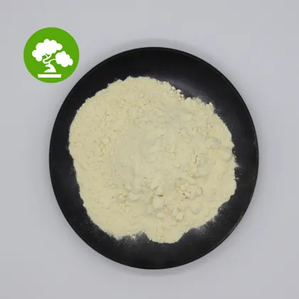 High Quality Natural Cosmetic Grade Soybean Lecithin Powder