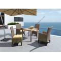 outdoor furniture Plastic wood table