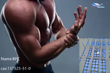99% purity BPC peptide powder