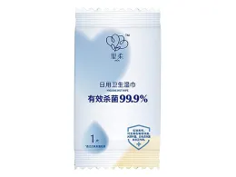 Disinfecting Wet Wipes (1 PC)
