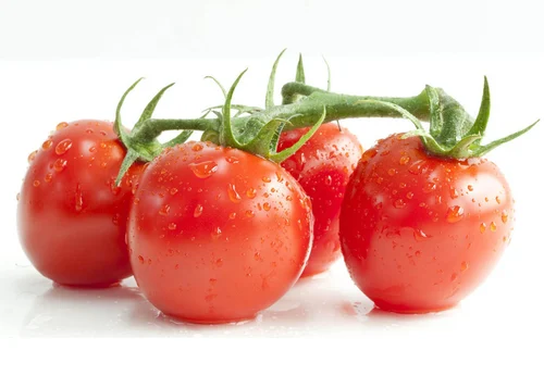 totomato