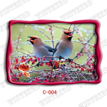 Bird Picture Post Card 