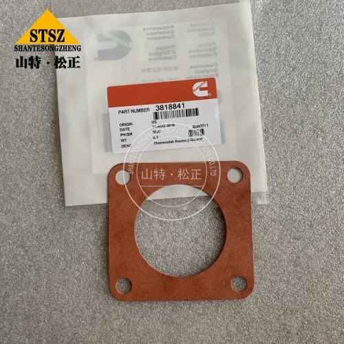 M11 Gasket 3818841