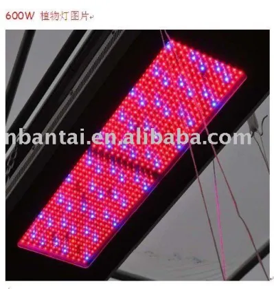 600W LED PLANT LAMP