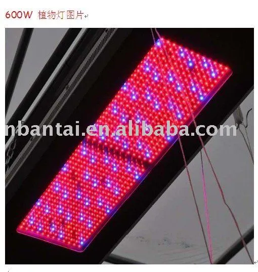 600W LED PLANT LAMP