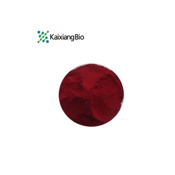 Organic Elderberry Extract Powder