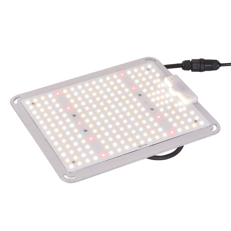 Spydrx Amazon LED Grow Light 100W