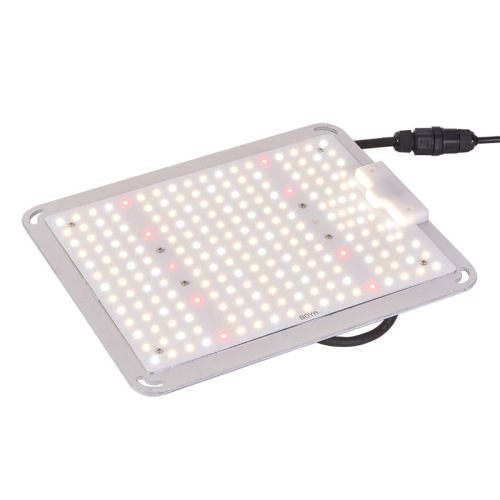 Long Lifetime Cheap Grow Light 100W