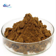 Plant herb sarsaparilla extract powder