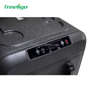Portable RV Mini Car Refrigerator - 12V/24V Upright Truck Cooler