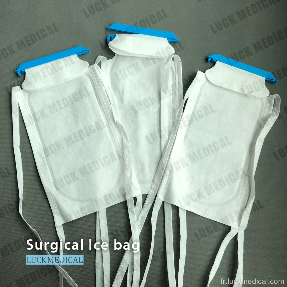 Premiers soins de Sports Ice Bag