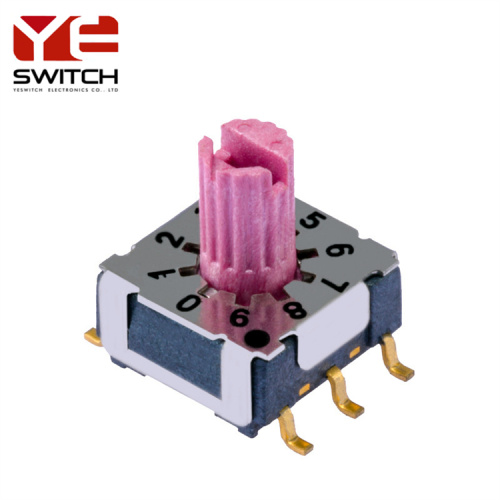 through hole 10 position rotary dip switch