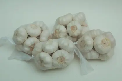 Middle East Top Quality Normal White Garlic