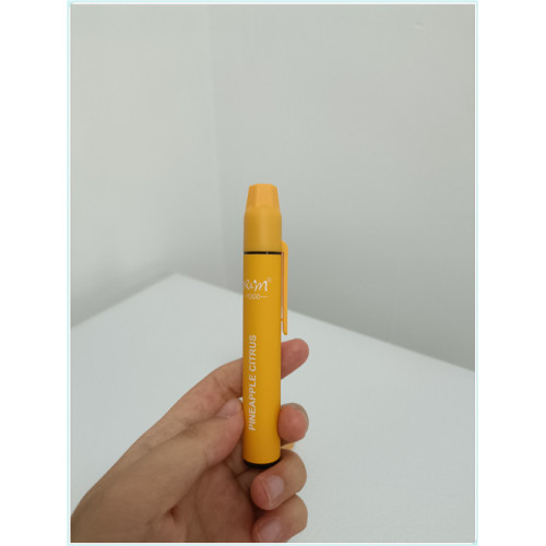 Disposable Vape KIt R&M 1000 Puffs