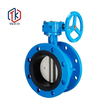 Taike Valve High Performance Rubber Lining Cast Iron Flange Wafer Butterfly Valve With Worm Gear